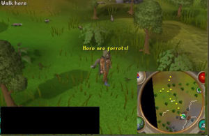 OSRS, Old School Runescape, Old School Runescape Accounts, Runescape 2007 Accounts,